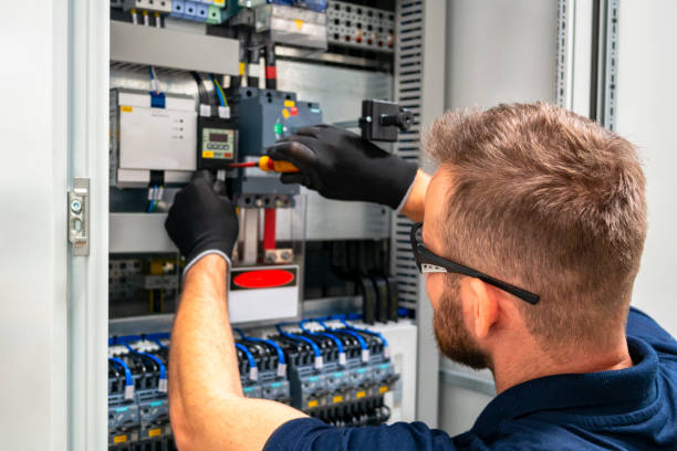 Best Electrical System Inspection  in Litchfield, MN