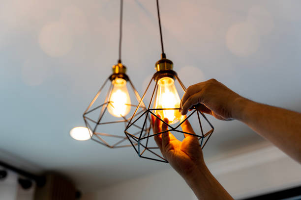 Best Industrial Electrical Services  in Litchfield, MN