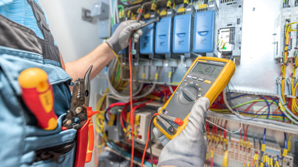 Best Generator Installation Services  in Litchfield, MN
